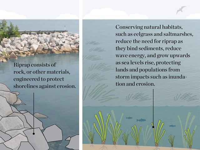 Small Scale Riprap What Is Riprap? | The Nature Conservancy