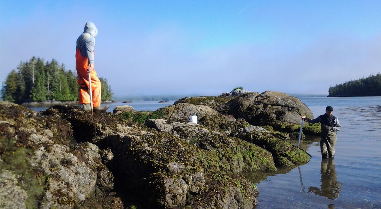 A man in waders stands knee-deep in ocean water while another person wearing waders stands atop a rock jetty.