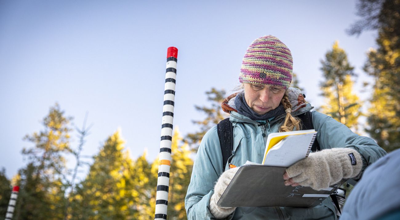 Dr. Emily Howe, TNC ecologist, wears a knit hat and winter clothing and looks at a notebook while standing in a snowy forest.