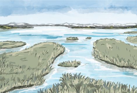 A illustration of grass in water.