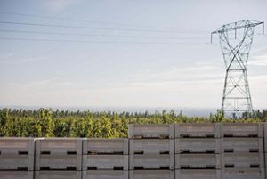 A box of apples are situated in front of a field. 
