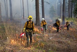 A group of people holding drip torches. 
