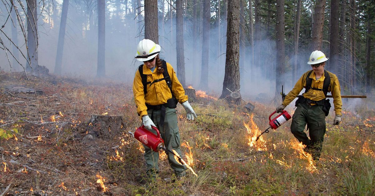 Suprising Fire Addressing a surprising barrier to prescribed fire in the West