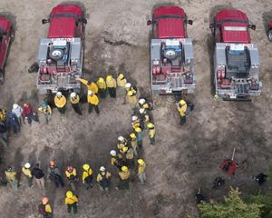 A group of people reunited working in a forest.