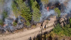 An active prescribed burn with two people in burn gear walking down a dirt road beside it.