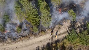 An aerial view features two people walking past a burn taking place in a forested area.