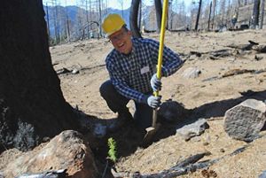mike schaefer digging a hole.