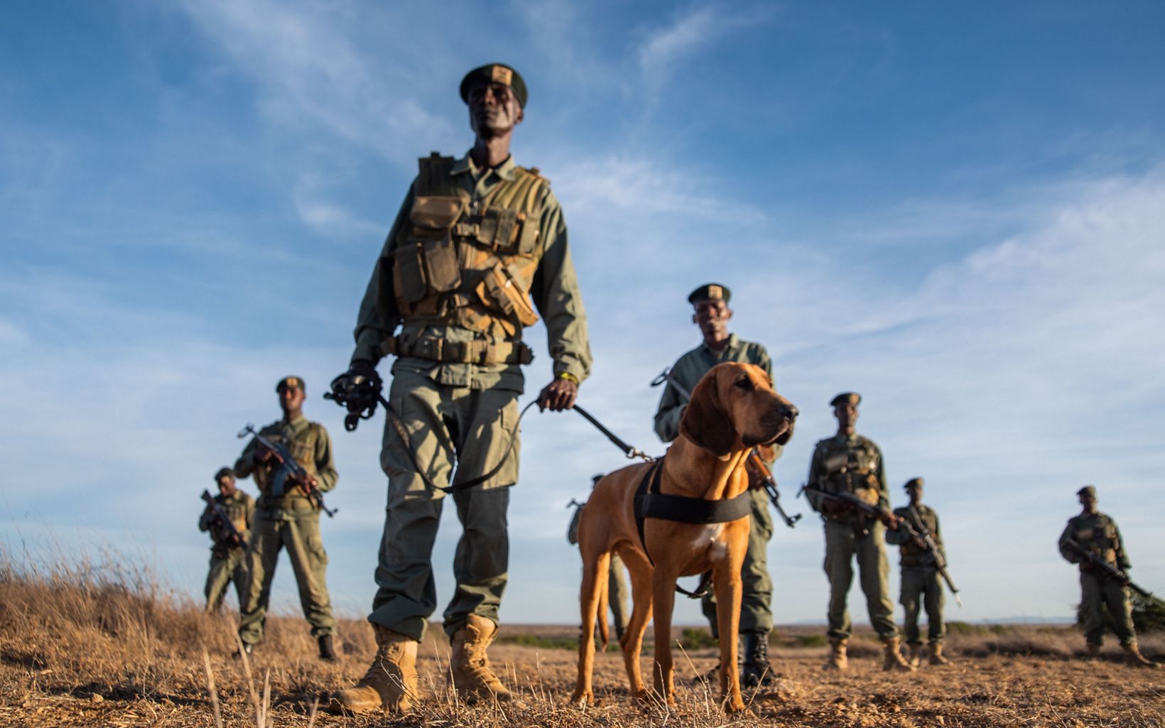 Tracker dogs and security team at Loisaba Conservancy, Kenya. 