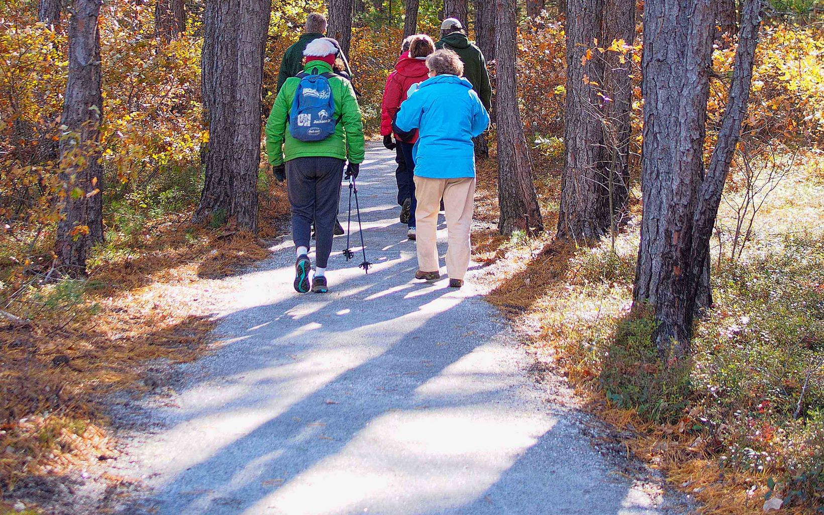 A group of people walk down a path in the woods.
