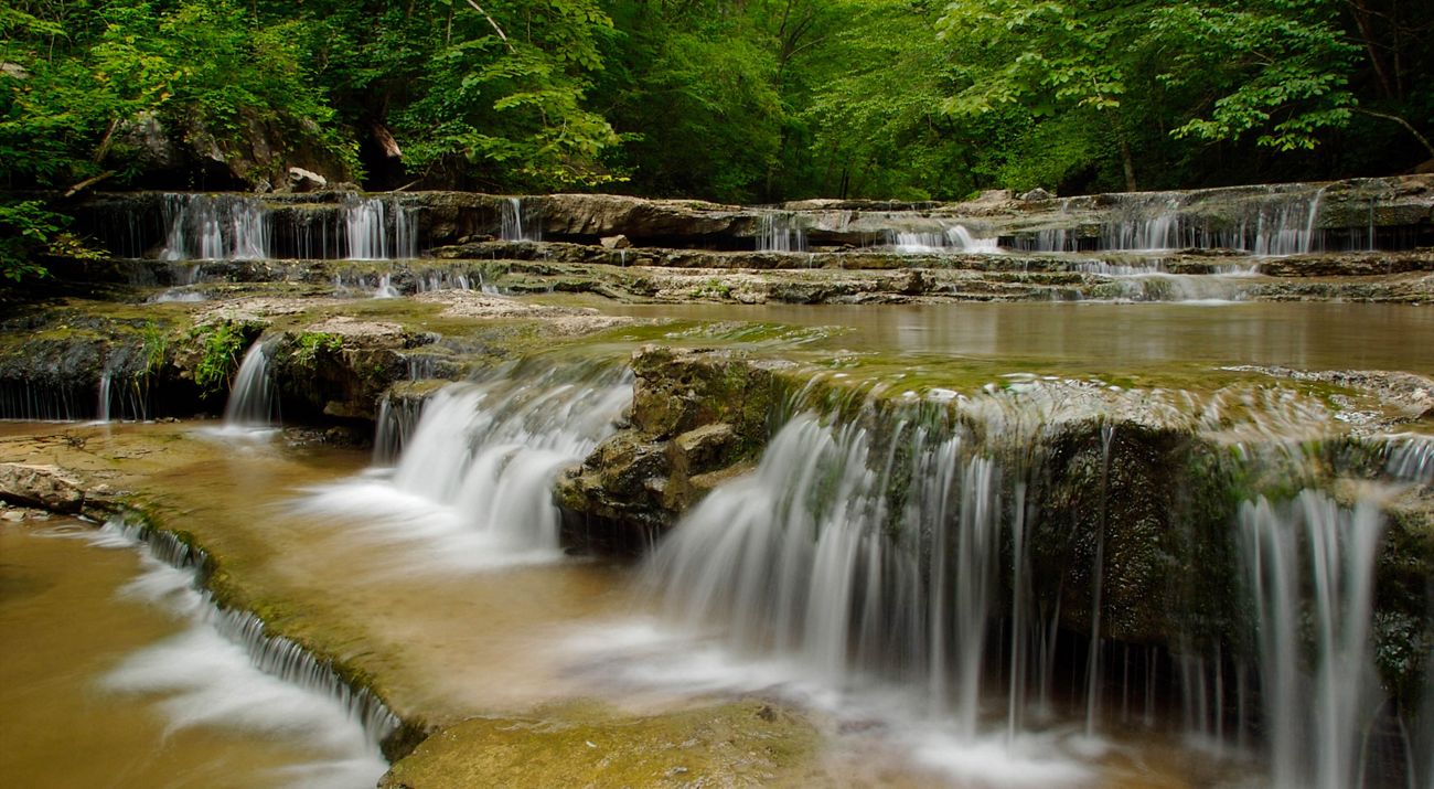 Water spills over a short waterfall in the midst of a dense forest.
