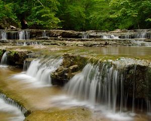 Water pooling and falling down a creek surrounded by lush green trees.