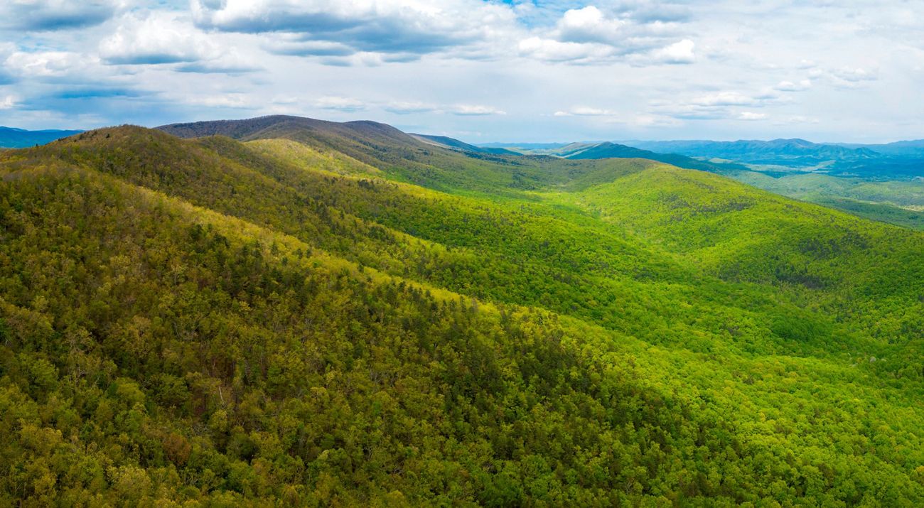 A bird’s eye view of the Warm Springs Preserve Ridge covered in lush green forest.