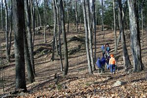 A group of people hiking in the woods in fall.