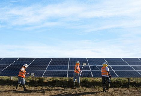 Three people use cloths on long poles to clean solar panels in a field.