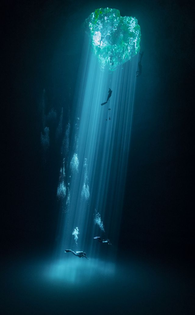 An underwater view of swimmers, freedivers, and divers exploring the Cenotes. Sunlight and vegetation can be seen above the water.