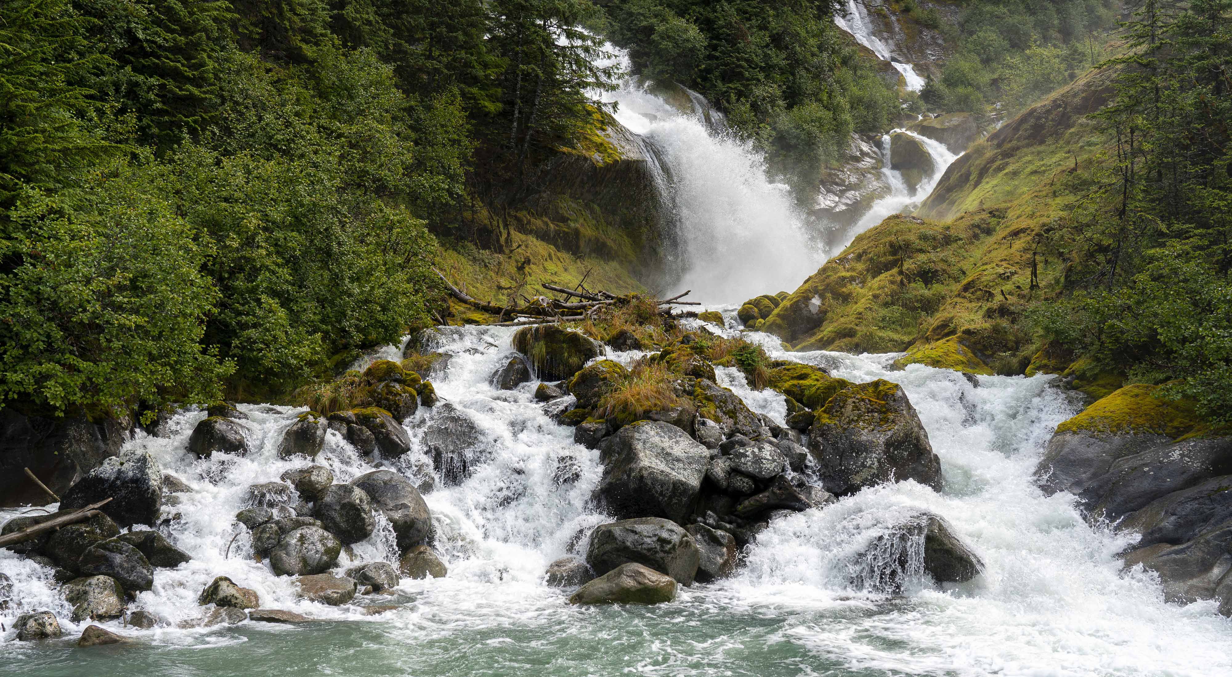A waterfall in the Tongass National Park