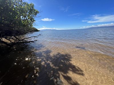 Water's edge in Mākolelau with trees overhanging and casting shadows in the water. Blue sky in the distance.