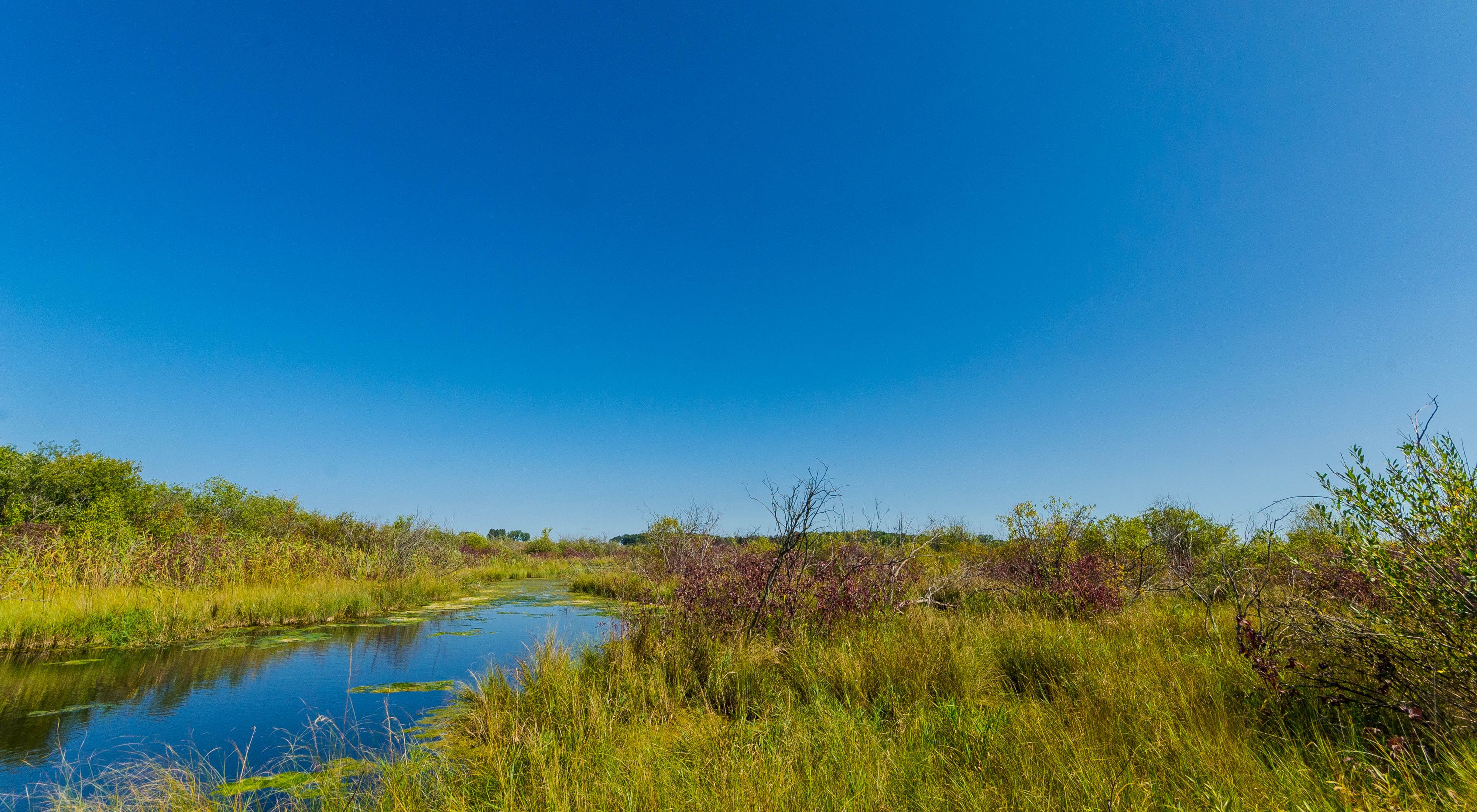 small stream meanders through green wetlands under a bright blue sky during summer