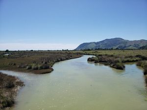 A calm pond is surrounded by lush wetlands and, in the distance, mountains.