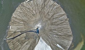 A colony of seabirds gather on a small, sandy island.