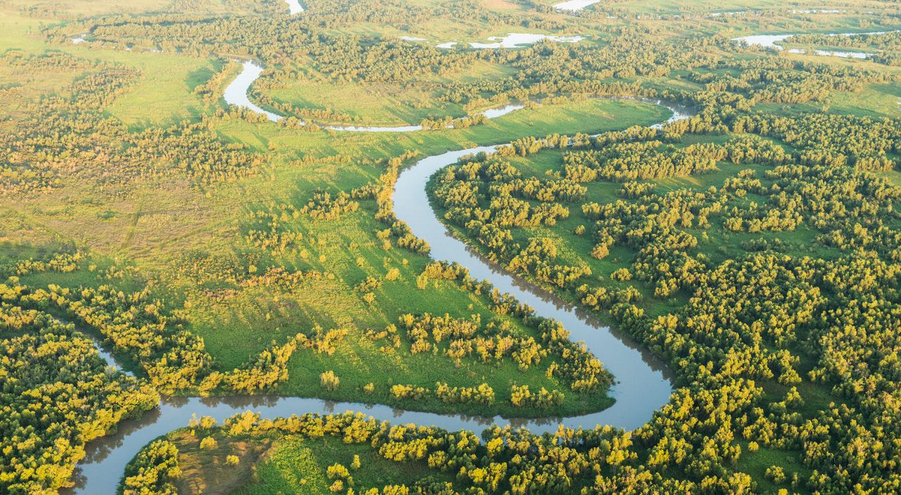 Aerial photo of a tidal marsh creek.