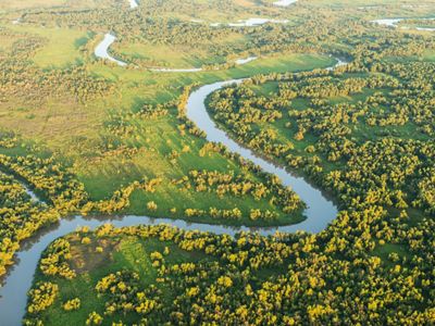 A river winds through yellow and green grass and trees in the sunlight.