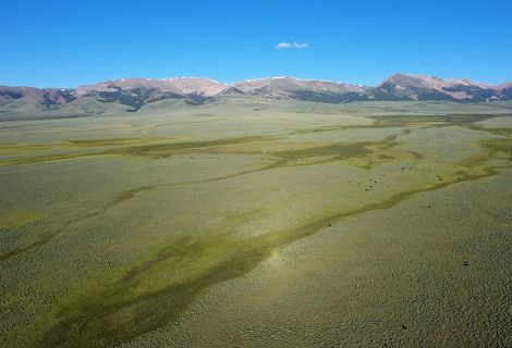 Aerial view looking across a vast green landscape with streams running through it and mountains in the distance.