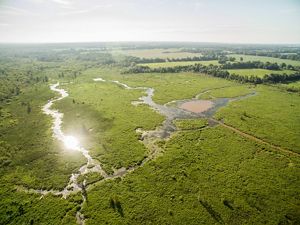 Aerial view of a vast wetland with the sun glinting off its waters.
