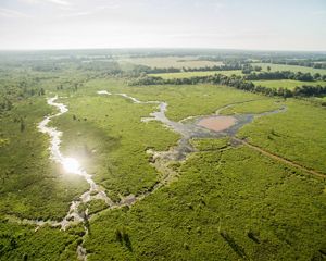 Aerial view of a vast wetland with the sun glinting off its waters.
