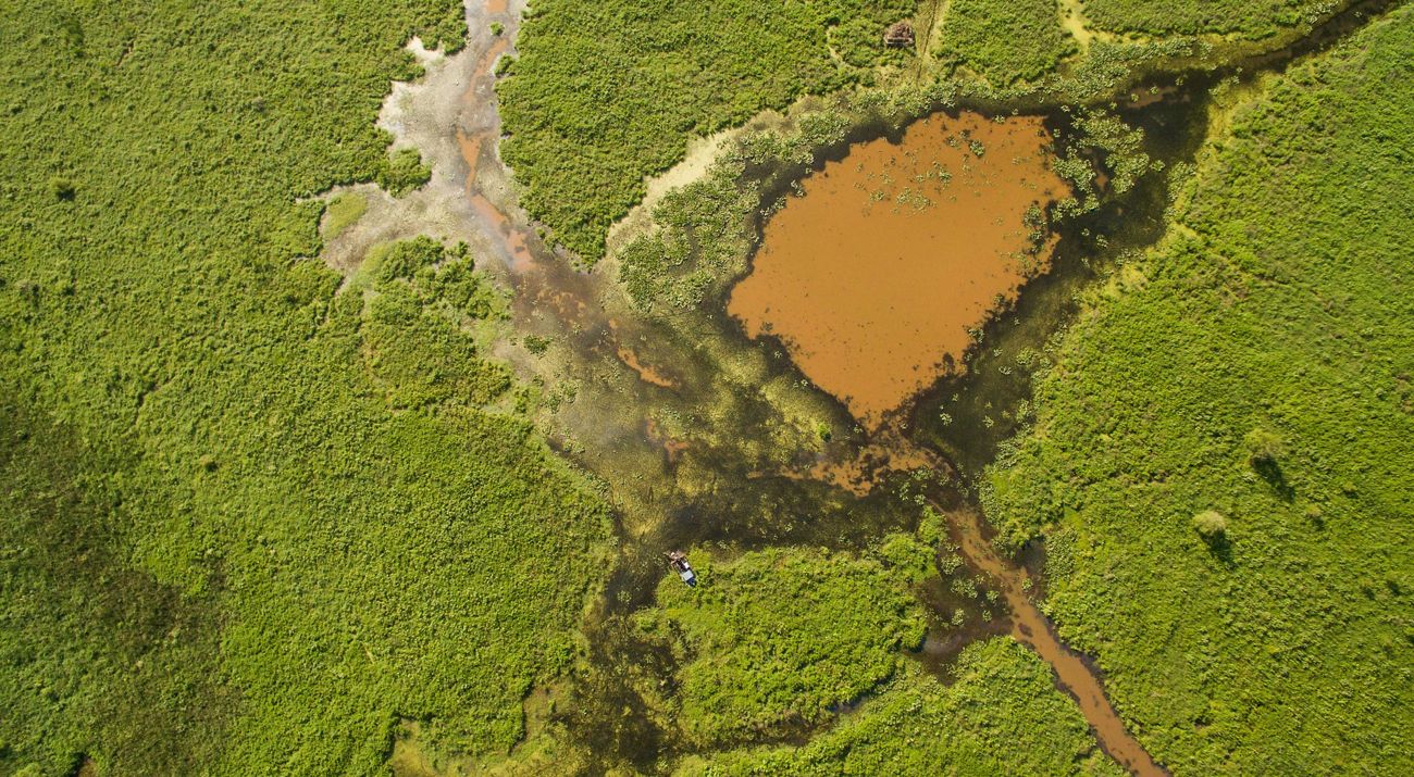 Western Kentucky wetland