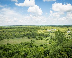 Western Kentucky wetland