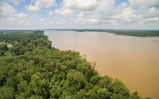 Aerial view of the muddy Mississippi River flanked by forest.