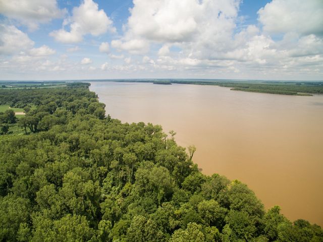Mississippi River flanked by forest