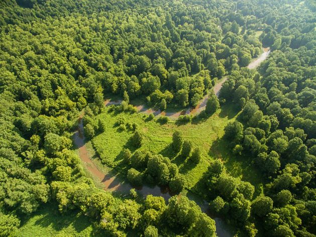 Aerial view of a river running through a western Kentucky wetland.