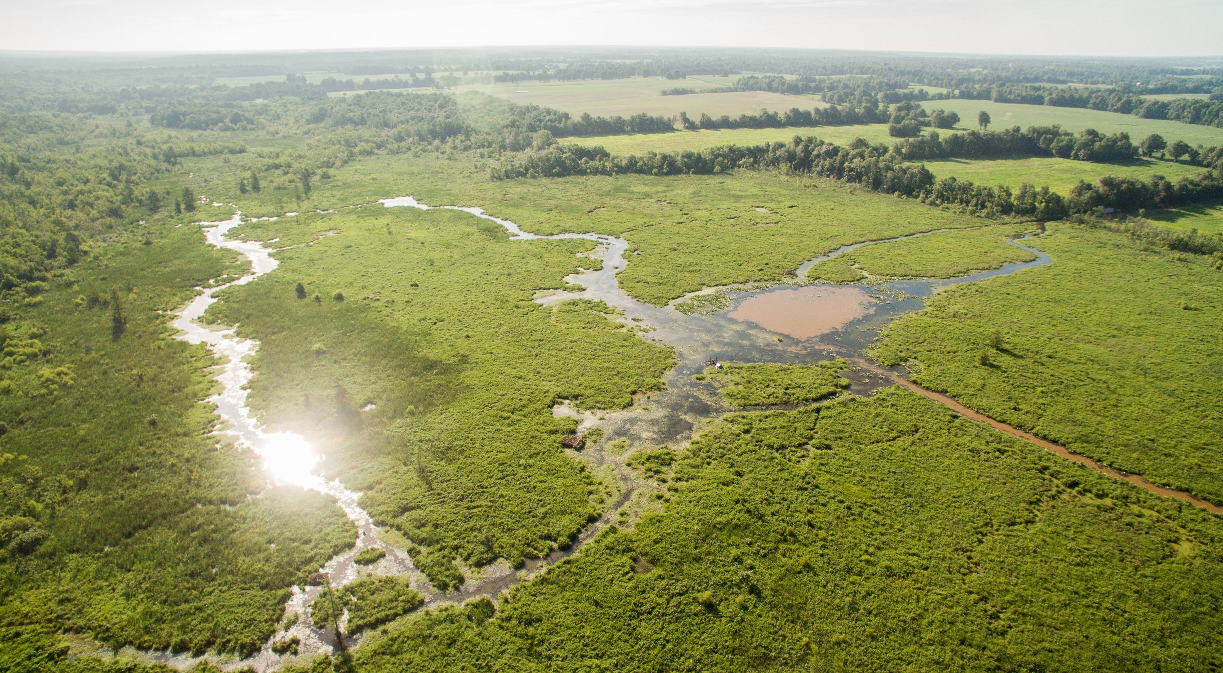 Aerial view of a wetland.