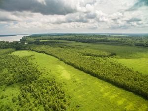Western Kentucky wetland