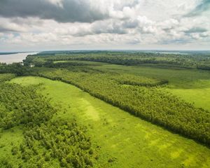 Western Kentucky wetland