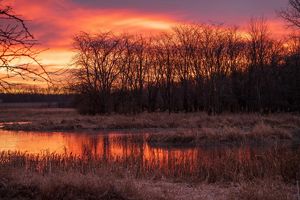 The sun rises over a wetland. 