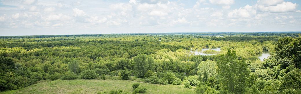 Aerial view of green countryside, including a mix of forests, fields, and waterways, under blue sky with puffy clouds.