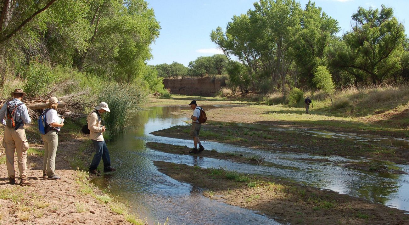 Four people stand in a wetland area with lush trees surrounding them.