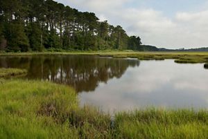 Woodlands and wetlands.
