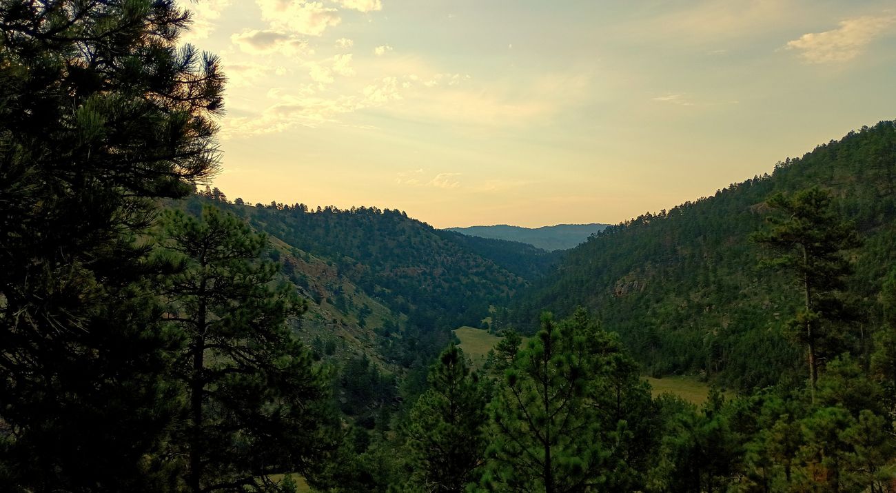 Landscape view of Falls Canyon at Whitney Preserve.