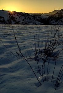 Winter landscape shot of Whitney Preserve at sunrise.