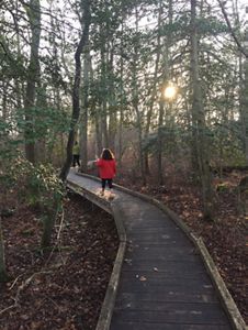 A young girl in a red winter coat walks along a boardwalk through a holly forest.