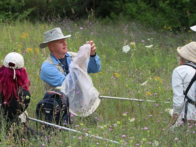 A man wearing outdoorsy clothing and a hat holds a white net in one hand and delicately removes a dragonfly from it with the other. Three other people stand nearby in a grassy field to watch.