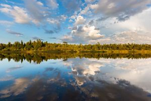 A pale blue sky with clouds is reflected in a still lake that is bordered by trees. 
