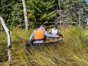 Two TNC staffmembers rowing a canoe filled with wild rice seed, in Michigan's Northwoods.