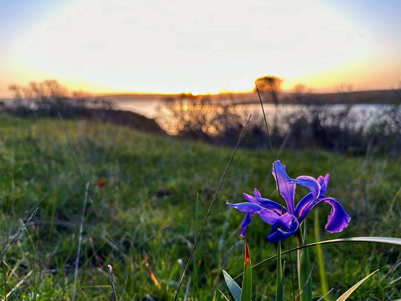 Point Reyes National Seashore: A Path Forward