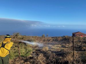 Wildfire prevention