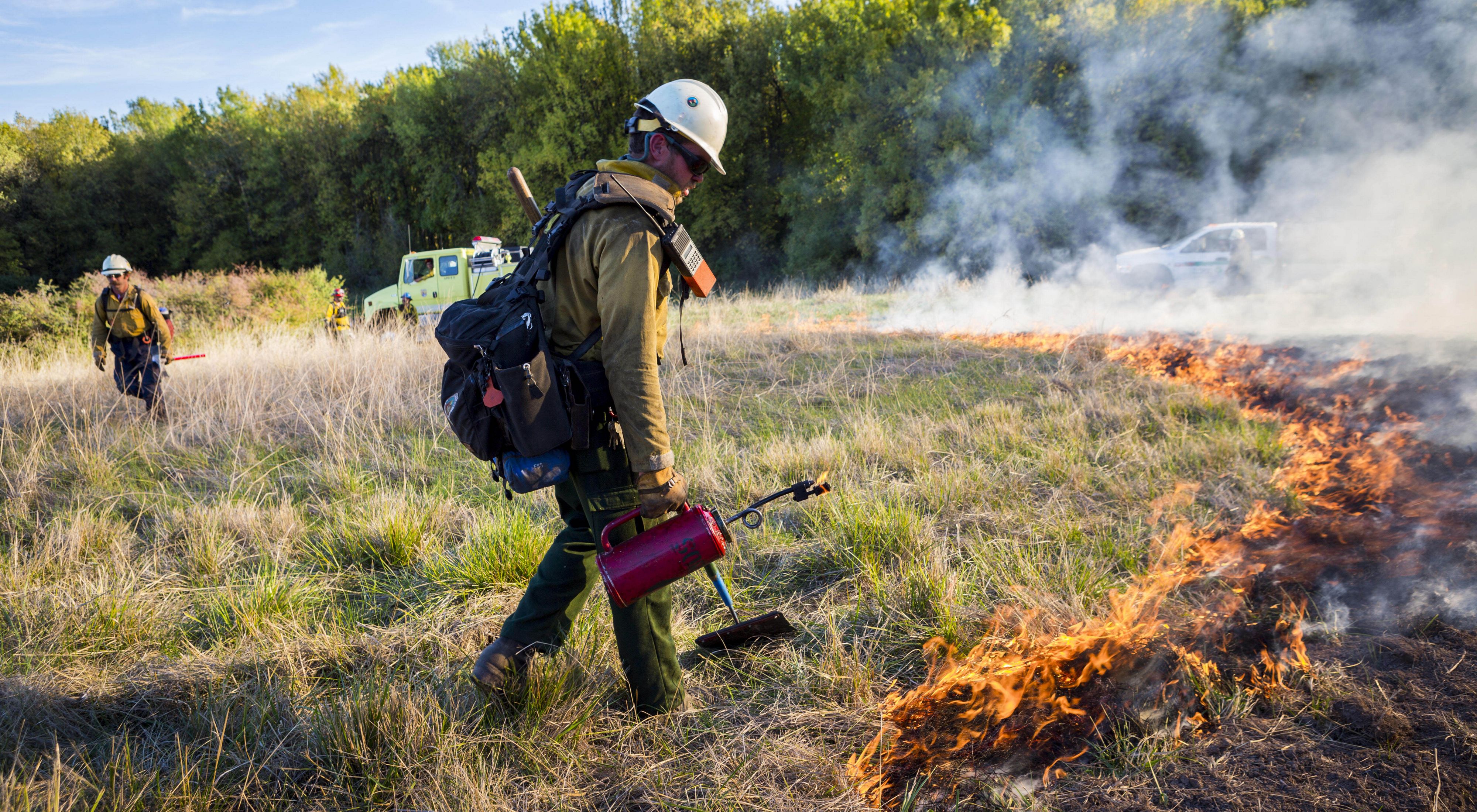 A fire worker uses a drip torch to ignite grass in a controlled burn on grasslands in Willamette Valley in Oregon.